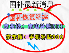 了几个月的国度消费补助